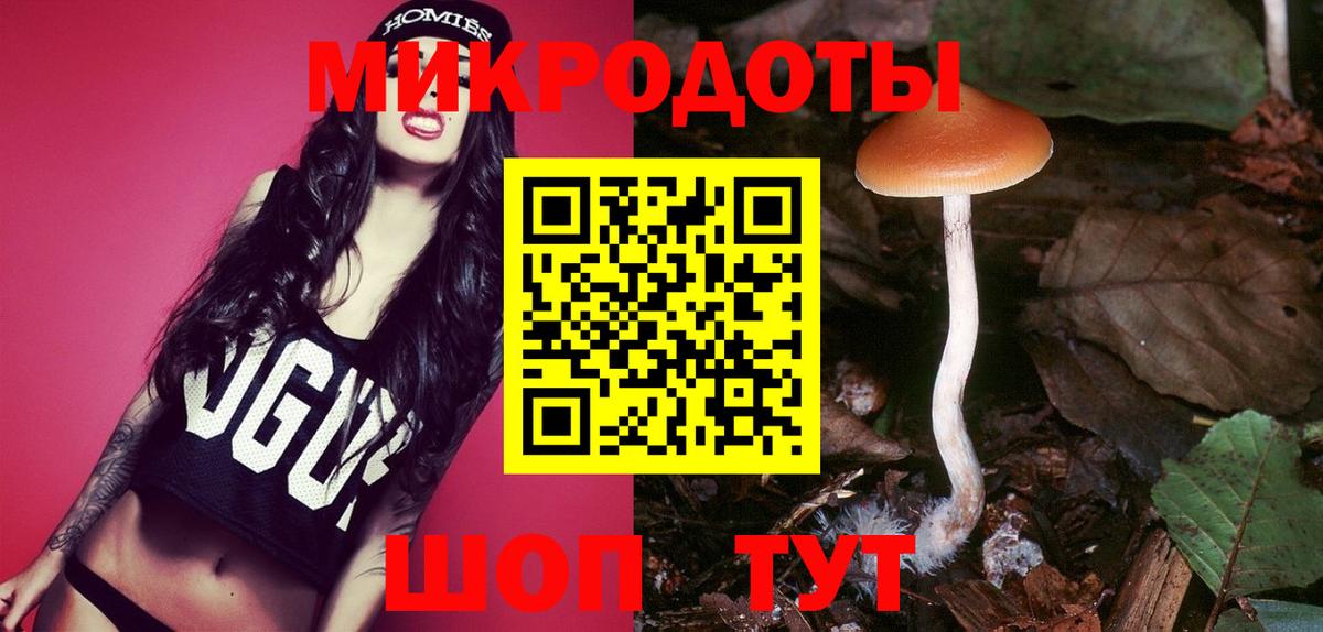 Чебоксары  Псилоцибиновые грибы MAGIC MUSHROOMS  Вход с VPN  Галлюциногенные грибы Magic Shrooms 